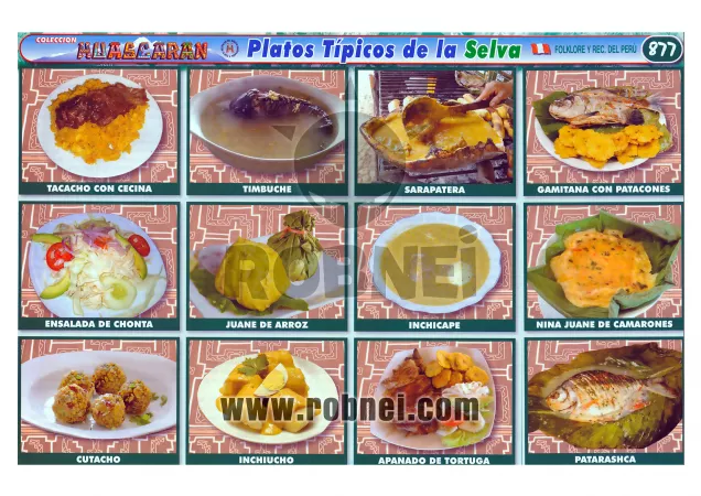 Platos Tipicos De La Selva